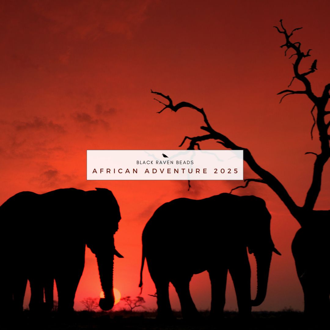 Black Raven African Adventure Updated 2025