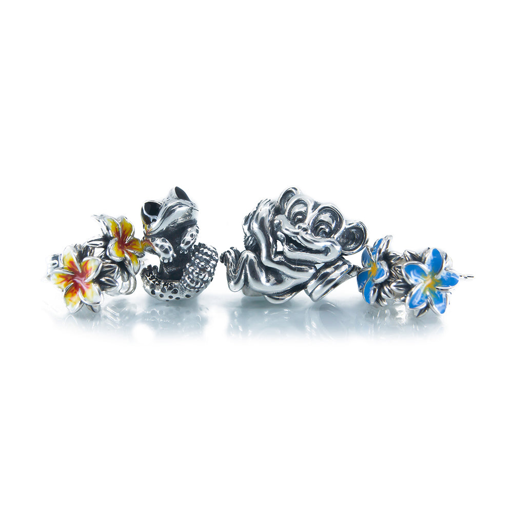 Aurora Silver Charms