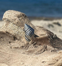 Load image into Gallery viewer, True Shell