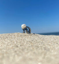 Load image into Gallery viewer, True Octopus