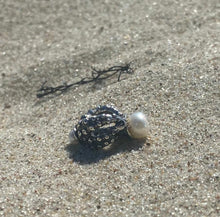 Load image into Gallery viewer, True Octopus