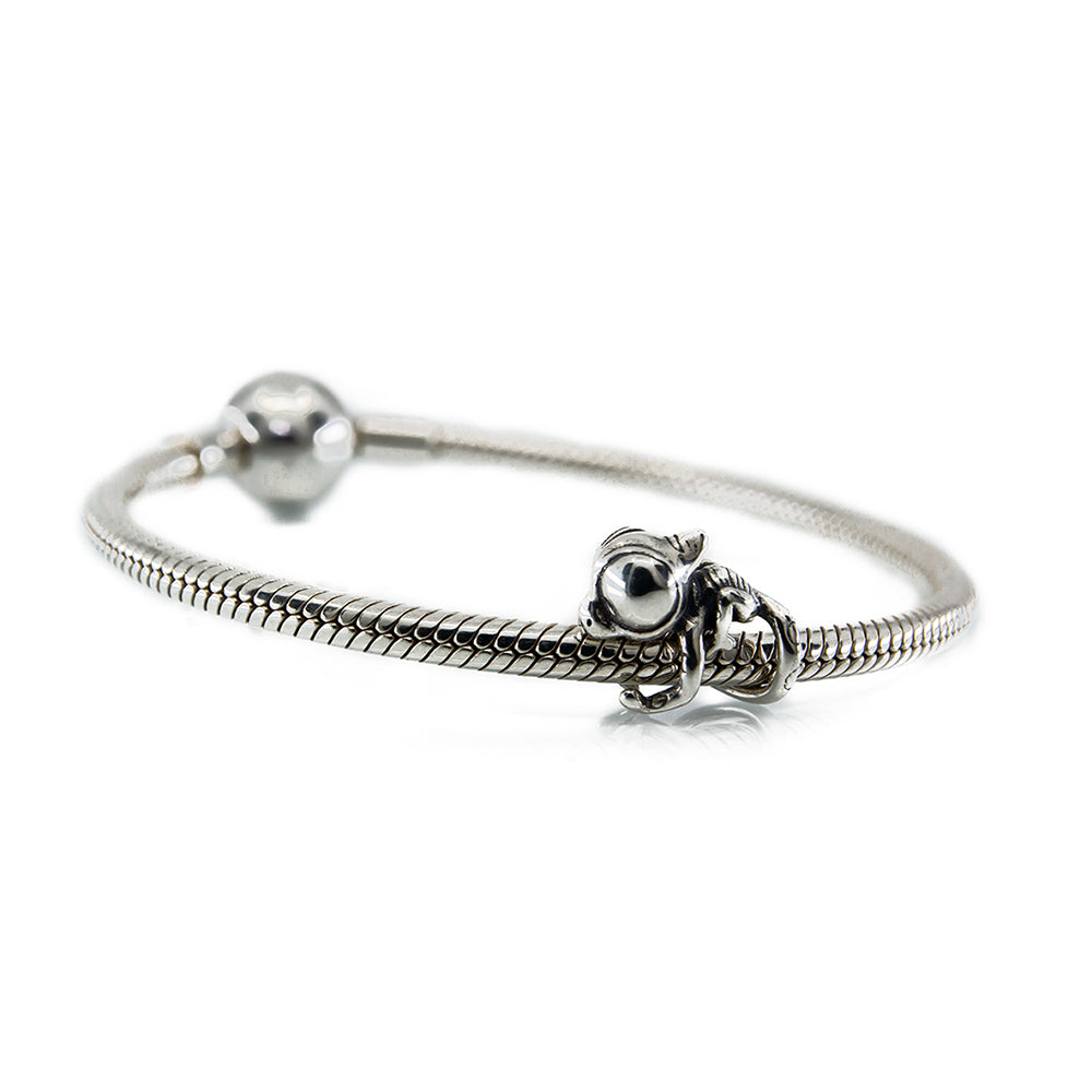 Meloon the Baby Chameleon