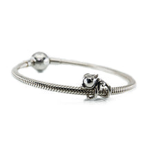 Load image into Gallery viewer, Meloon the Baby Chameleon