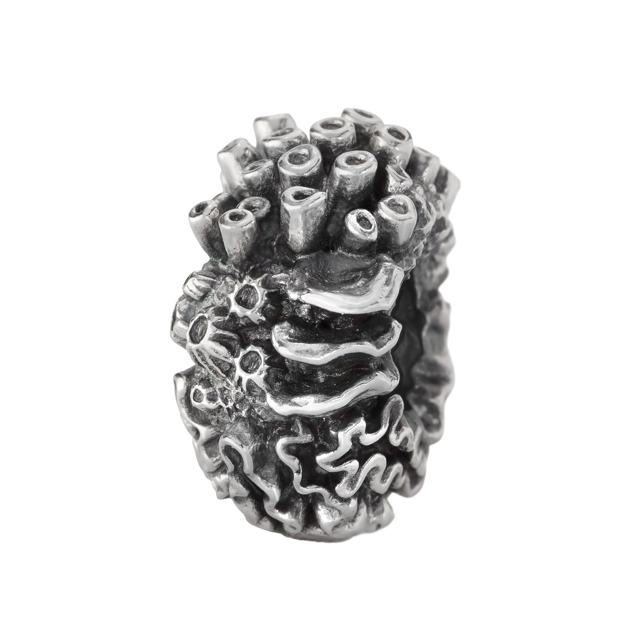 Coral Reef Spacer