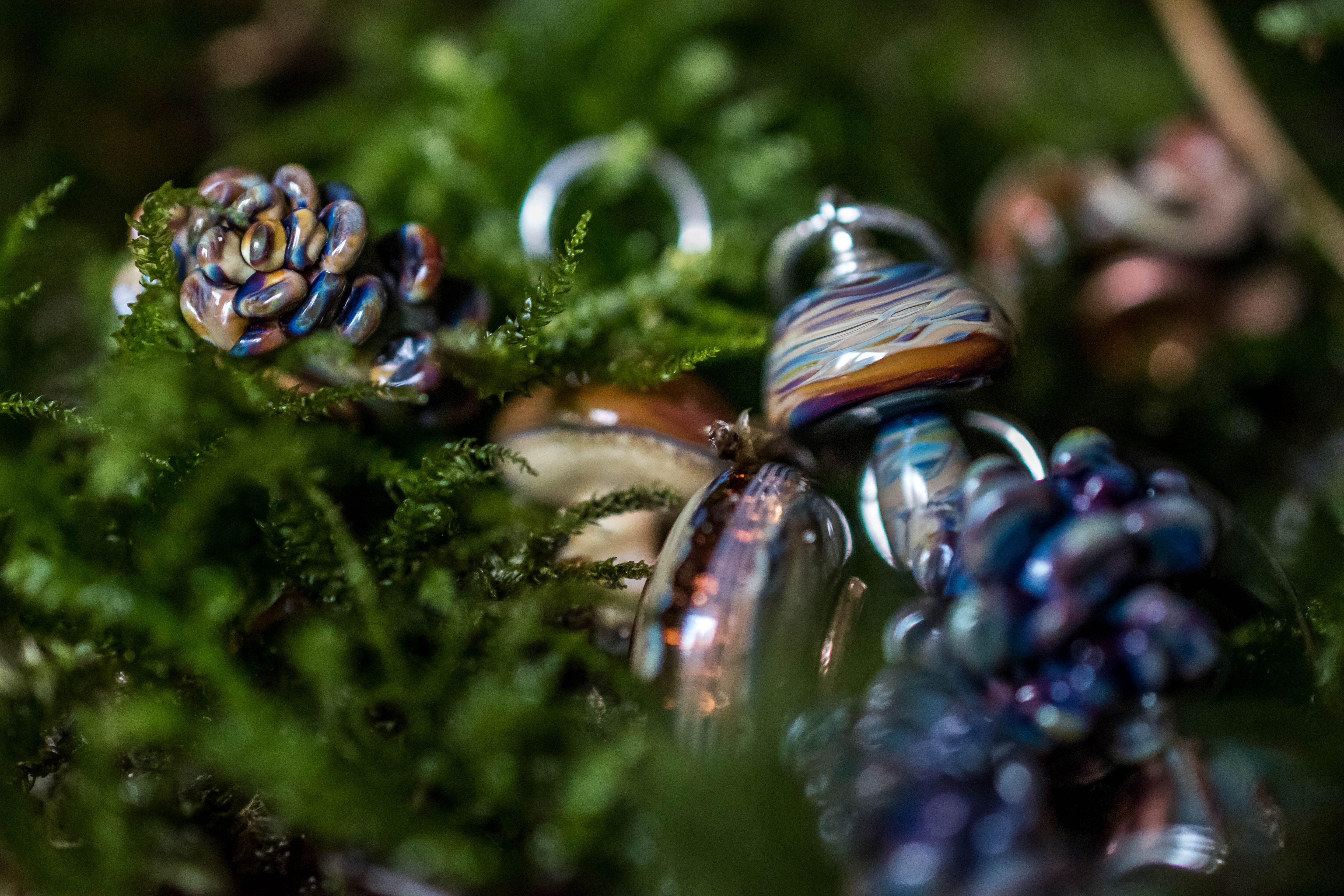 Lactarius Violascens Dangle