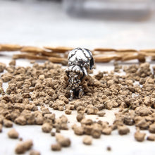 Load image into Gallery viewer, Atlas