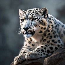 Load image into Gallery viewer, Snow Leopard