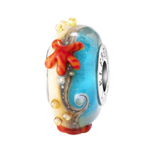 Load image into Gallery viewer, Starfish Shore Starlight