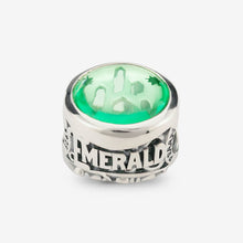 Load image into Gallery viewer, The Wizard of OZ Charm