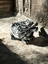 Load image into Gallery viewer, Dragon Turtle