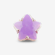 Load image into Gallery viewer, Wishing Star Crystal Charm