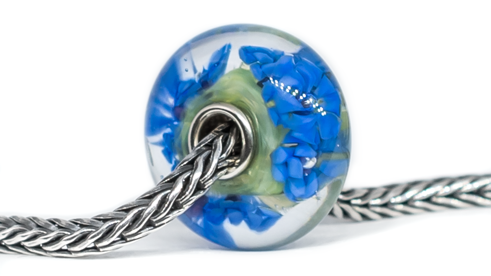 JUMBO Cornflower Field