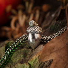 Load image into Gallery viewer, Acorn Family