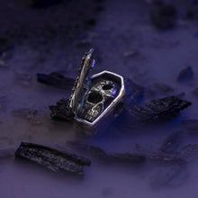 Load image into Gallery viewer, Coffin of Dracula