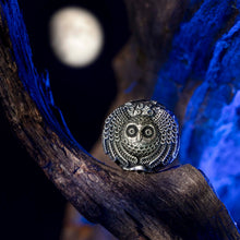 Load image into Gallery viewer, Moon Owl