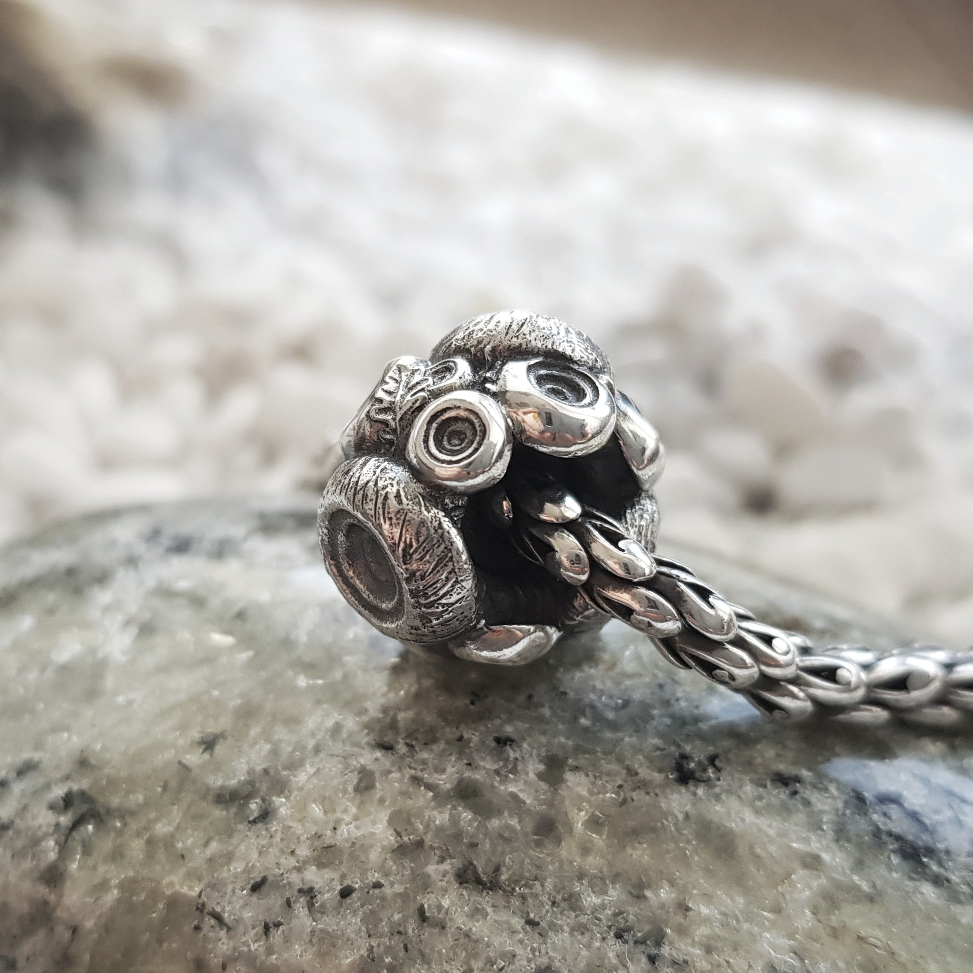 Mushrooms family Big Stopper