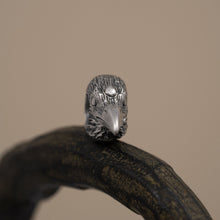 Load image into Gallery viewer, Three-eyed raven