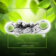 Load image into Gallery viewer, Bird Lock