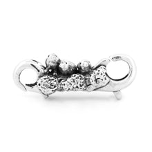 Load image into Gallery viewer, Bird Lock