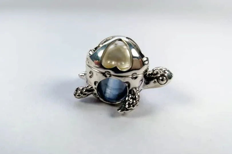 Treasure Turtle