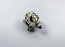 Load image into Gallery viewer, Treasure Turtle