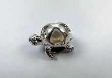 Load image into Gallery viewer, Treasure Turtle