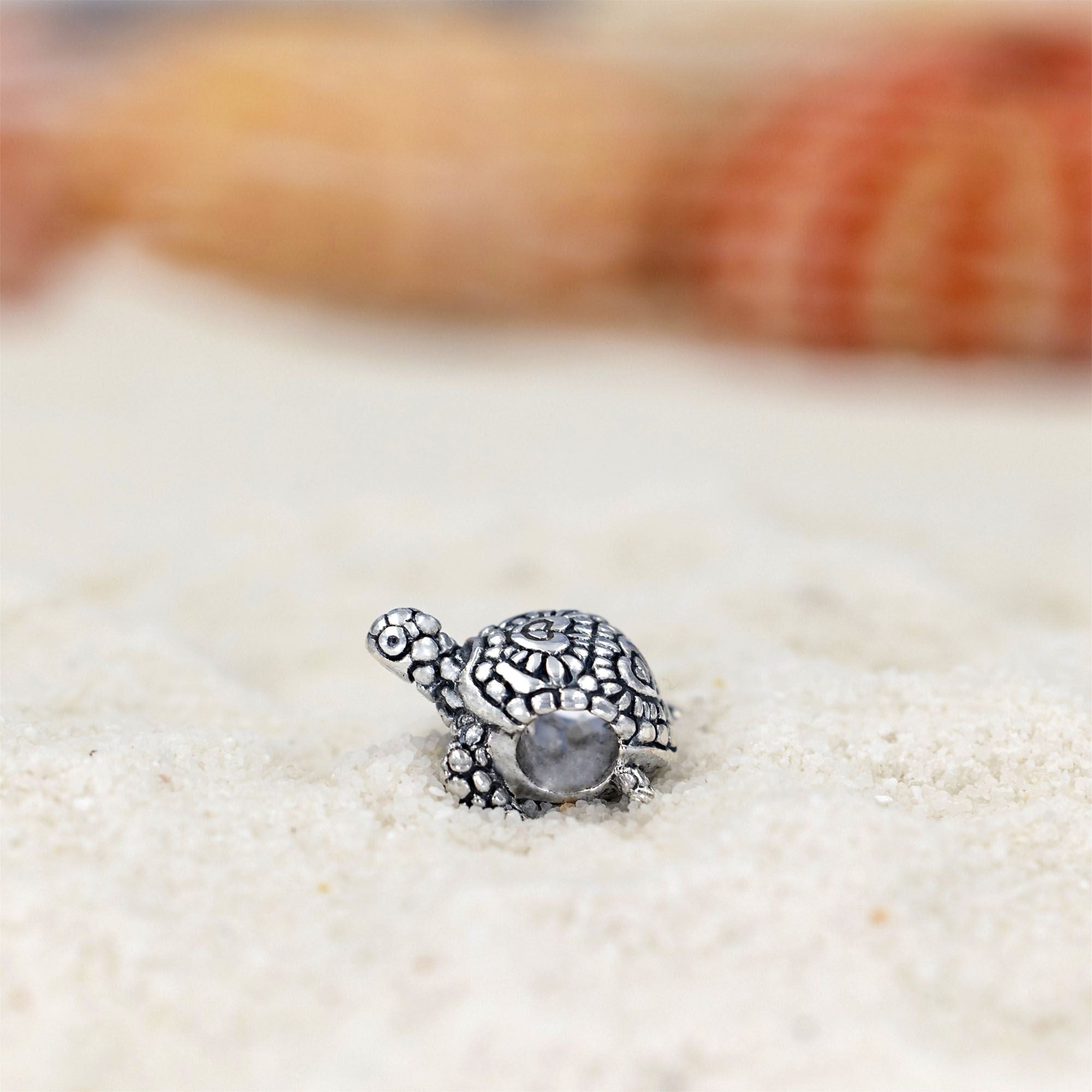 Endurance Sea Turtle