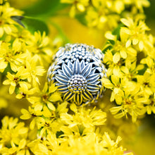 Load image into Gallery viewer, Peaceful Earth