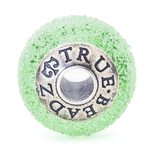 Load image into Gallery viewer, True Taste Transparent Cactus