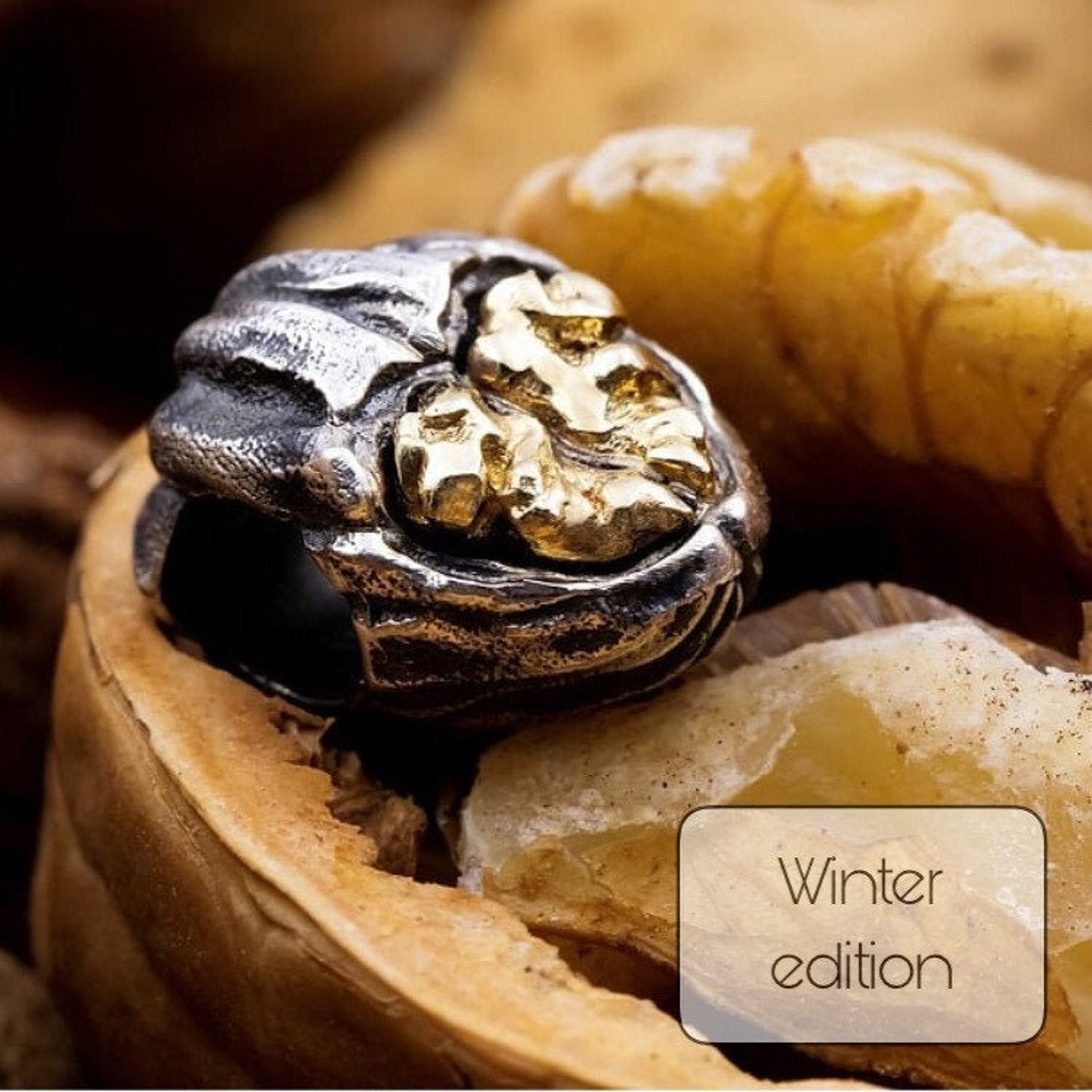 Magic nut Crackatook bicolor bead