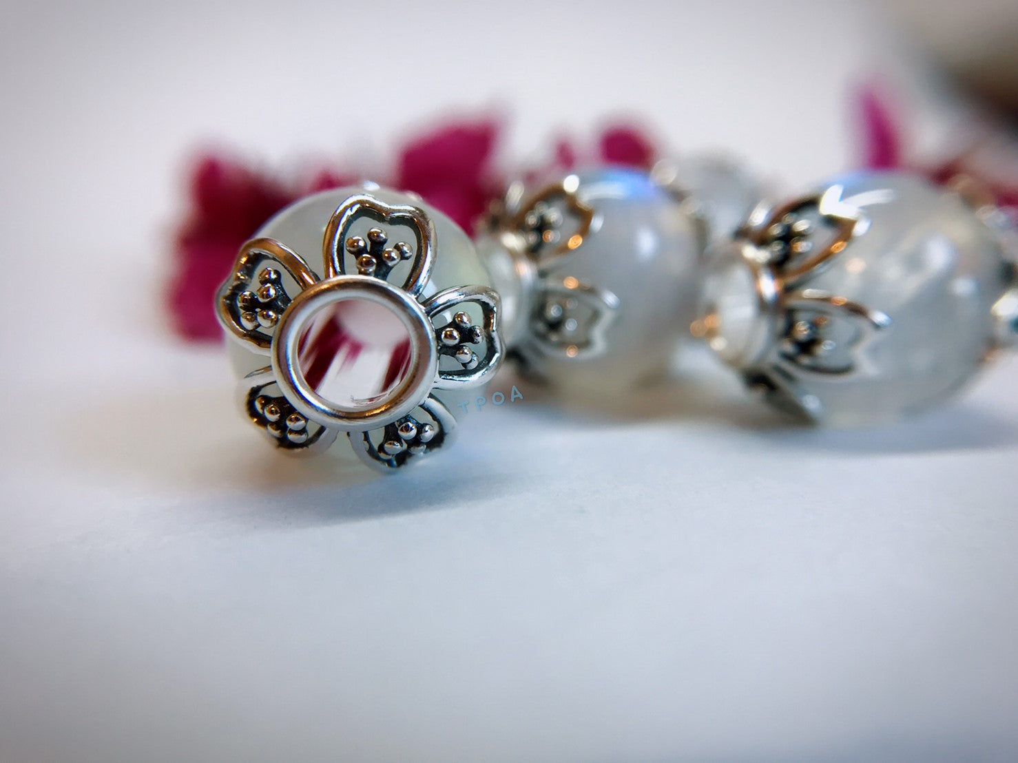 Moonlight Sonata-Sakura Movement