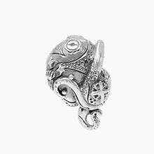 Load image into Gallery viewer, Stellar Guardian