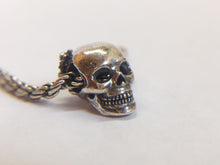 Load image into Gallery viewer, Rocky the Skull