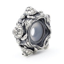 Load image into Gallery viewer, Seashell Turtles Stopper