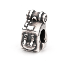 Load image into Gallery viewer, Big Journey Backpack