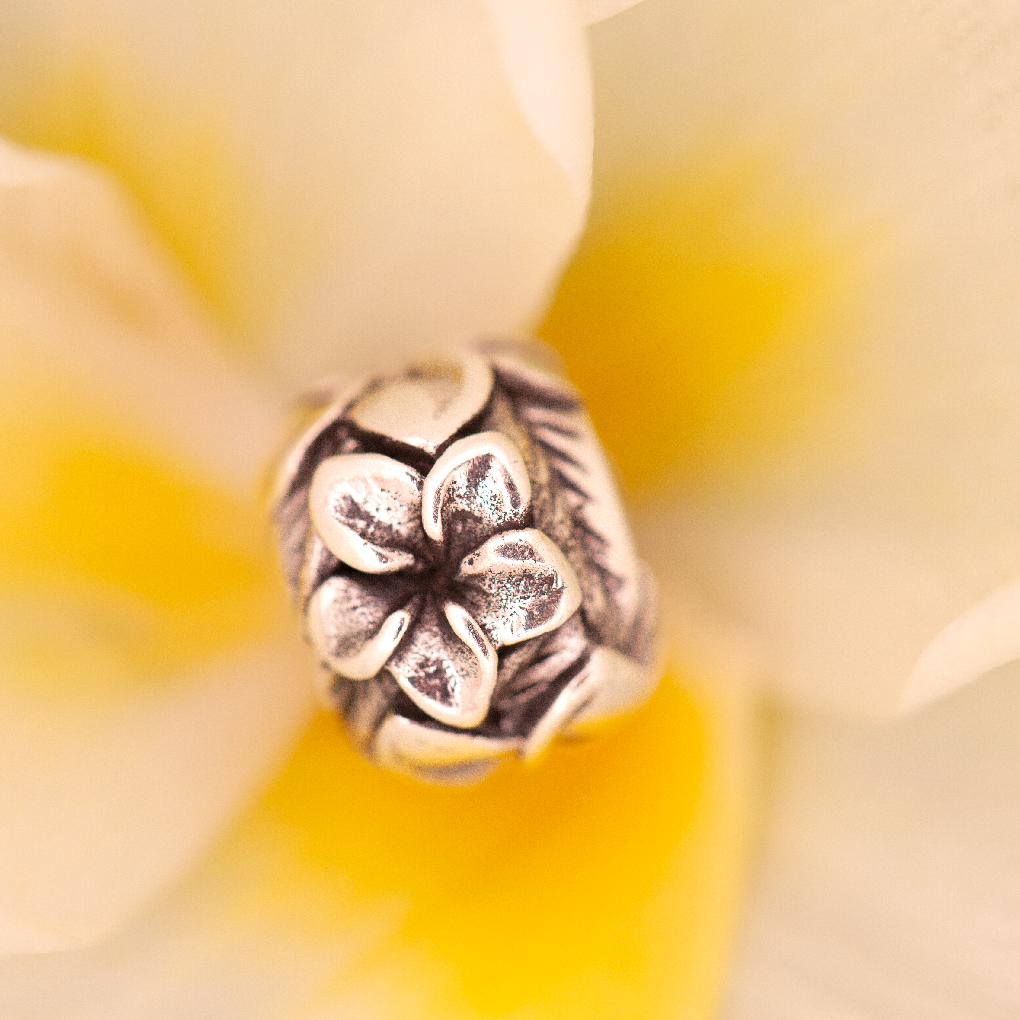 Frangipani Flowers