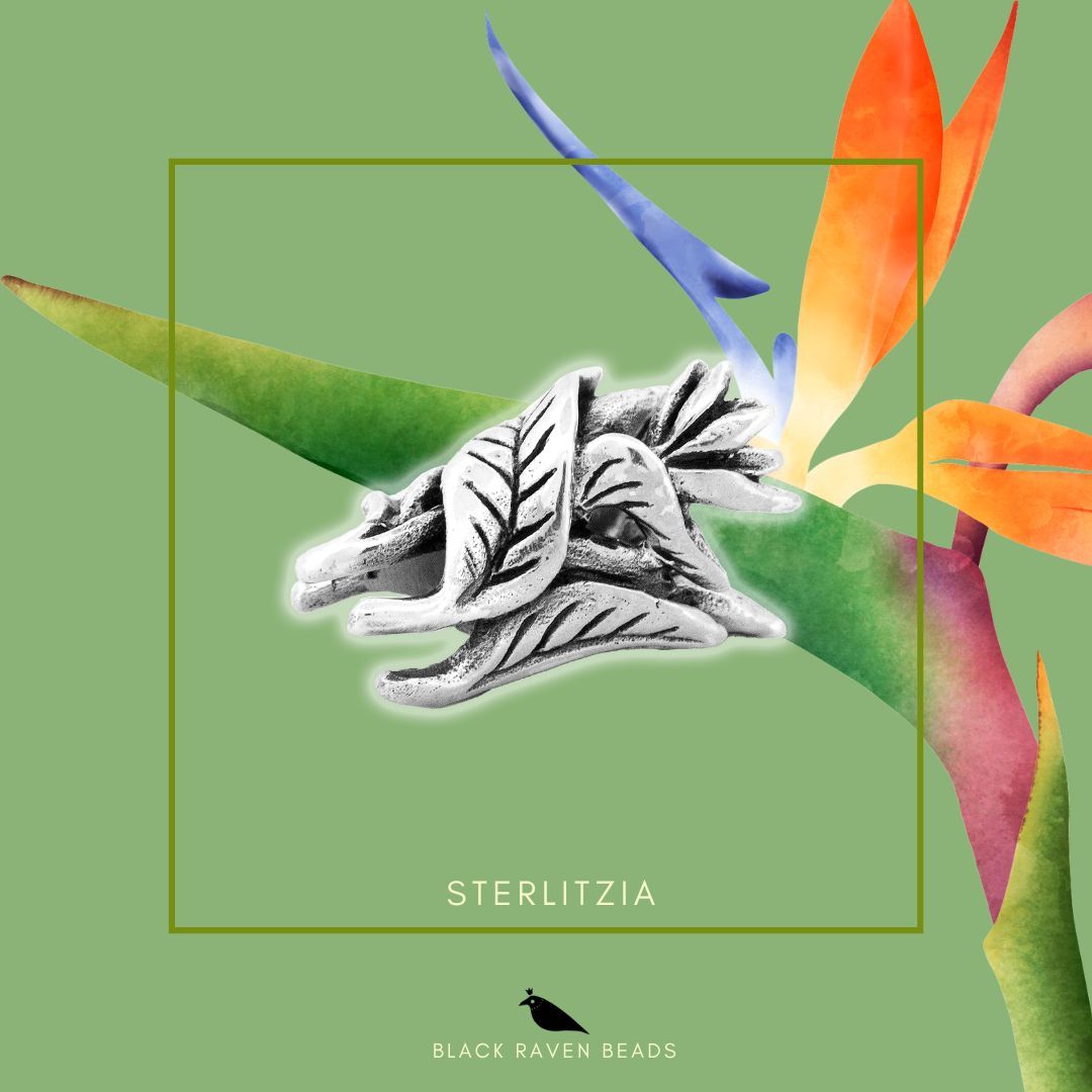 Strelitzia flower