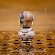 Load image into Gallery viewer, Palm Root Fossil