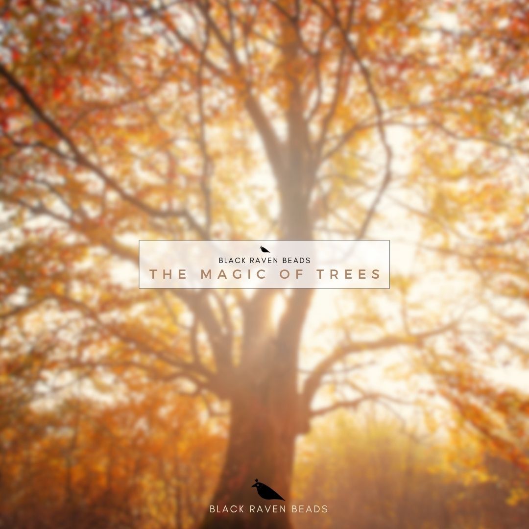 Black Raven The Magic of Trees