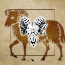 Load image into Gallery viewer, Aries Skull
