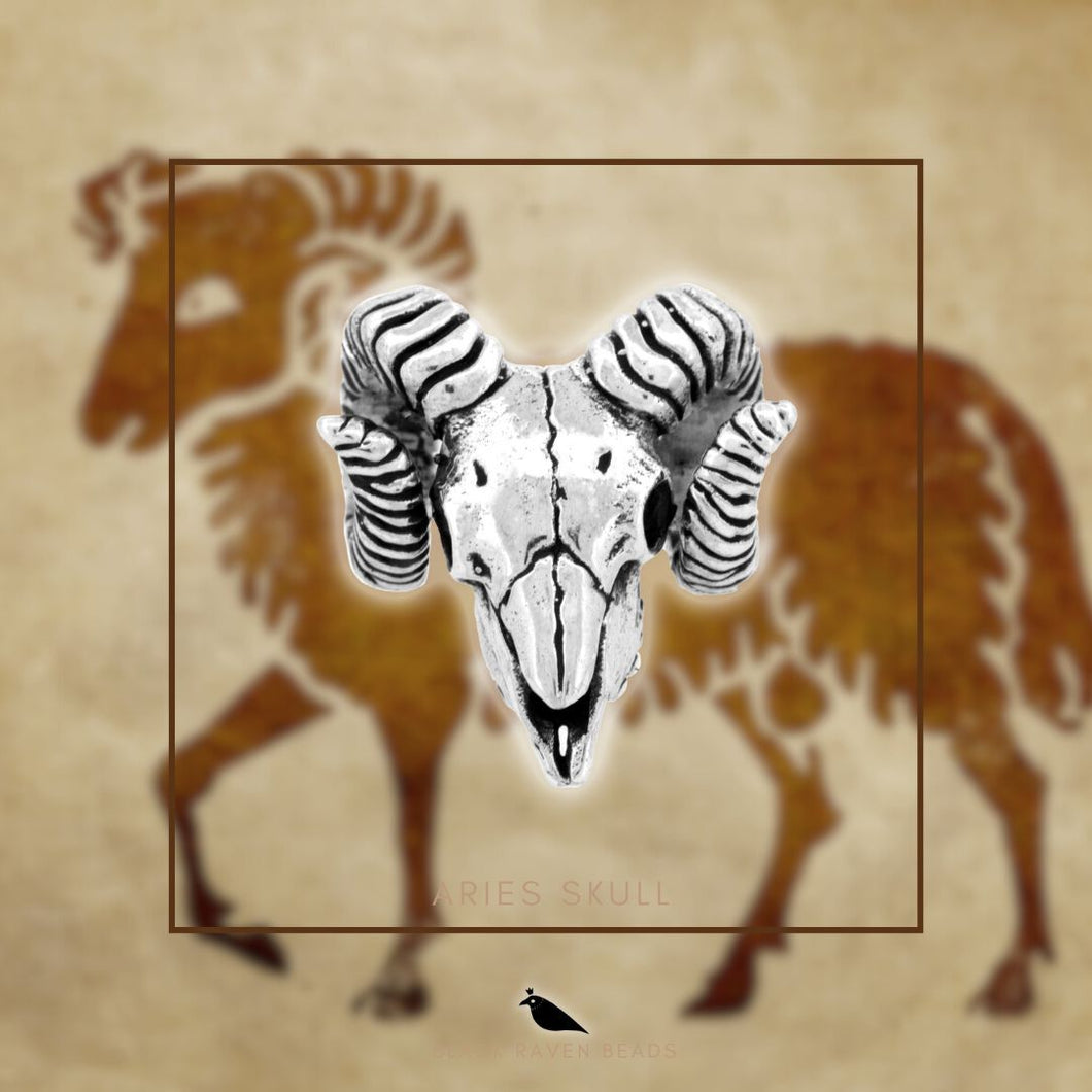 Aries Skull