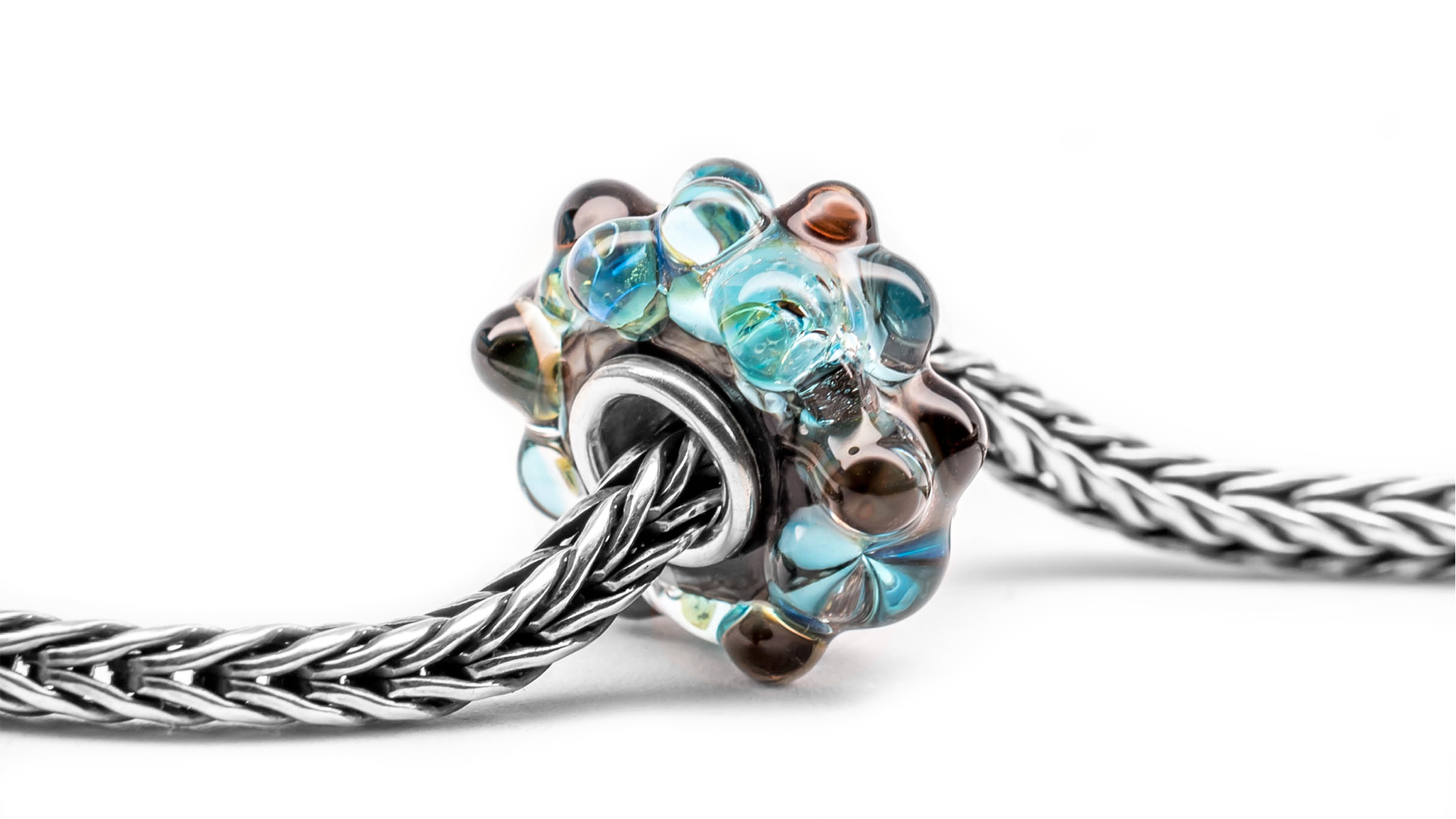 Morpho Amathonte Metamorphosis