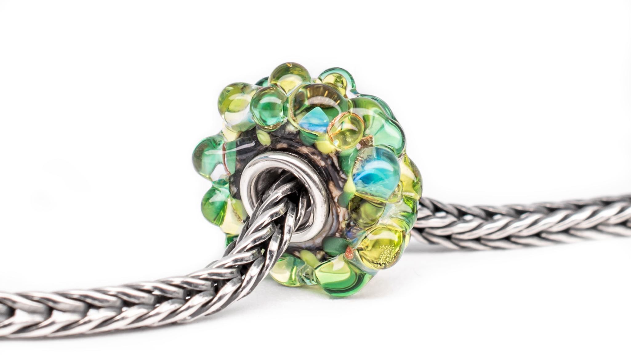 Siproeta Stelenes Metamorphosis