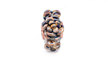 Load image into Gallery viewer, Aphyllophorales - Preorder
