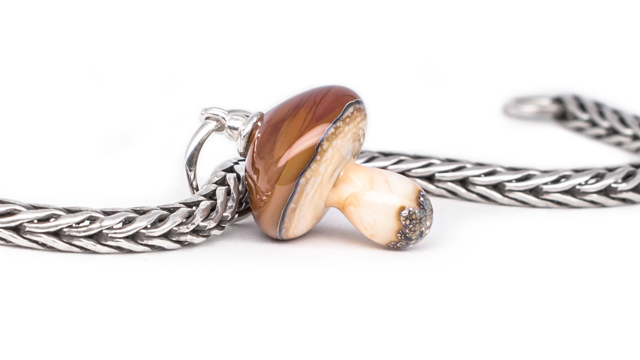 Boletus Edulis Dangle