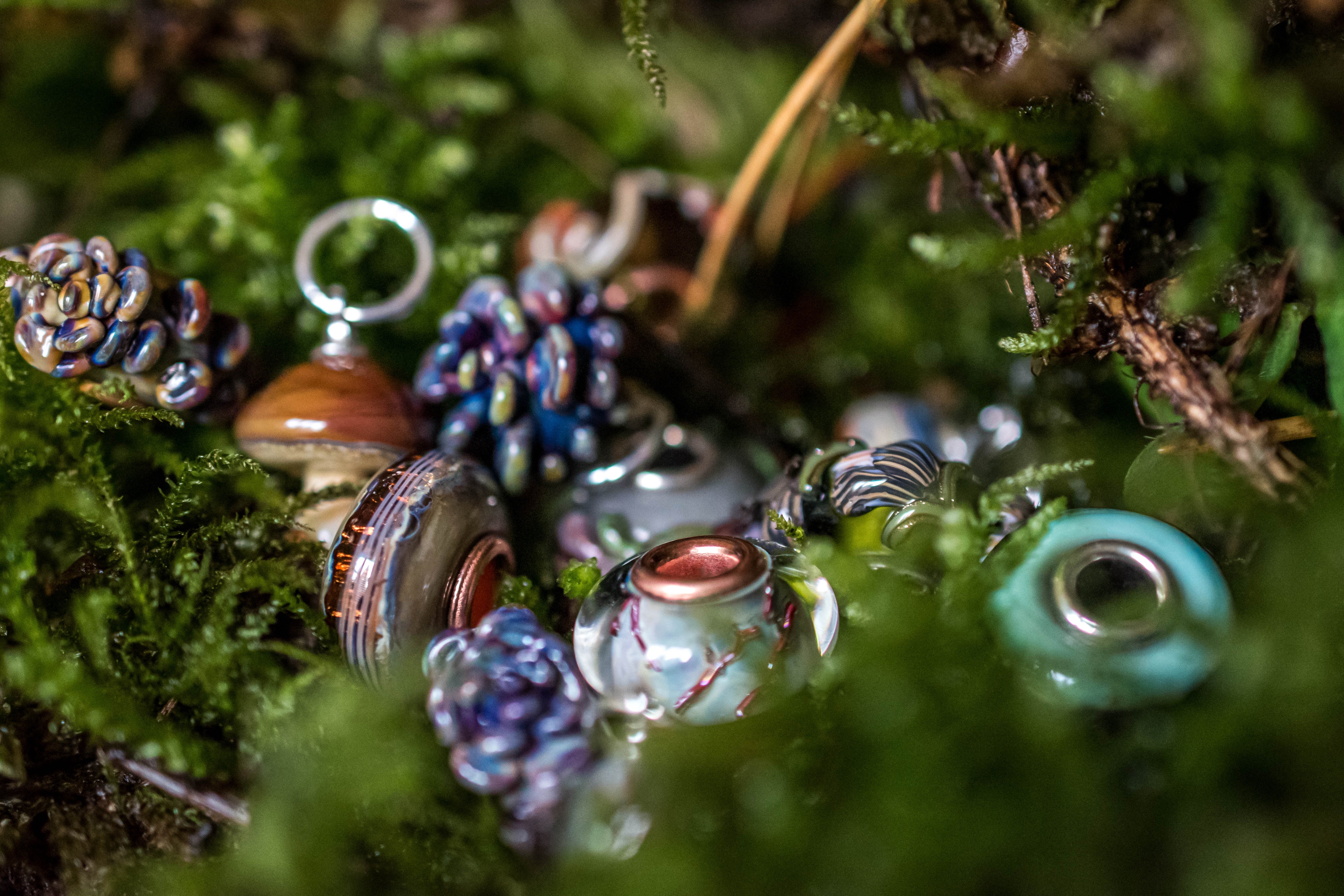 Fomitopsis Pinicola Dangle