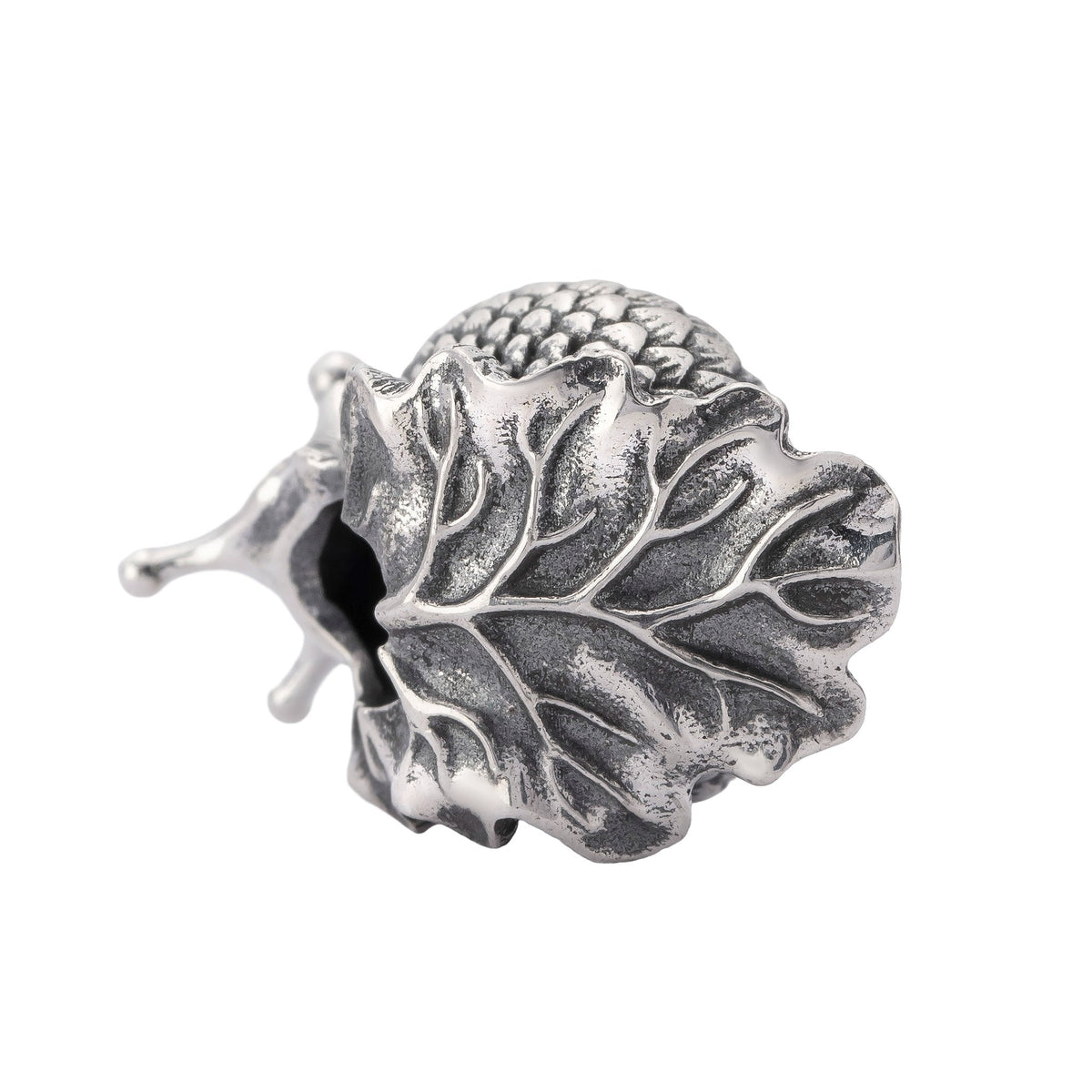 Oakleaf Snail