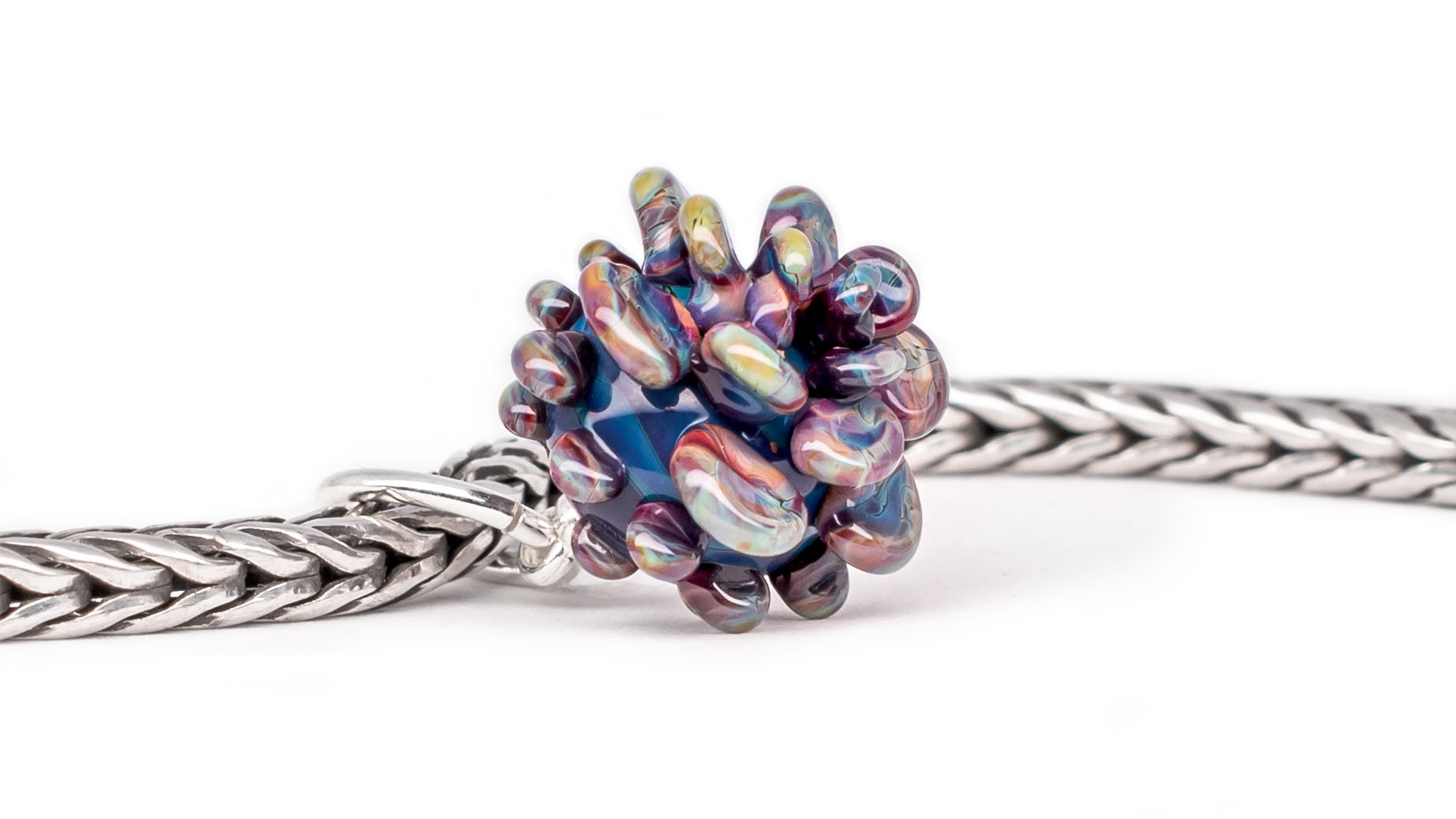 Fomitopsis Pinicola Dangle