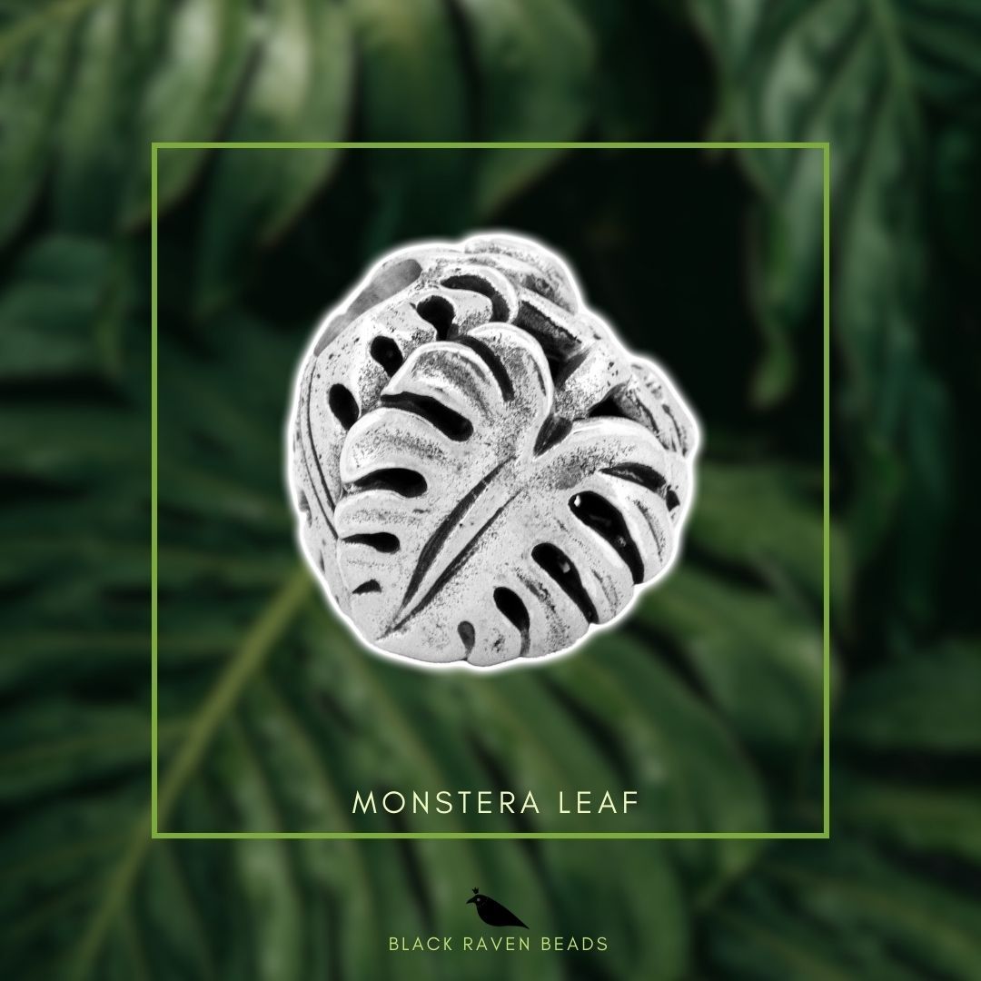 Monstera Deliciosa