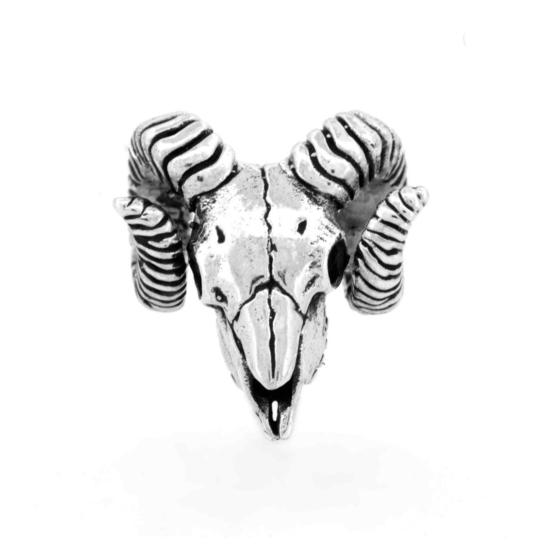 Aries Skull